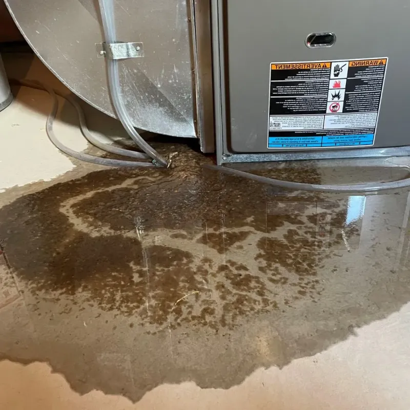 Pipe Burst and Leak Restoration in Mayflower Village, CA